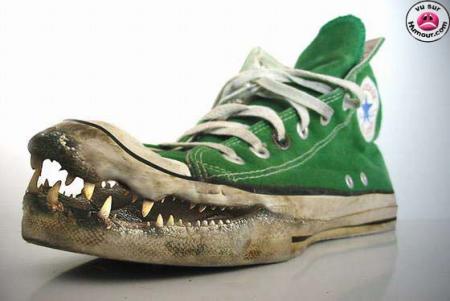 converse