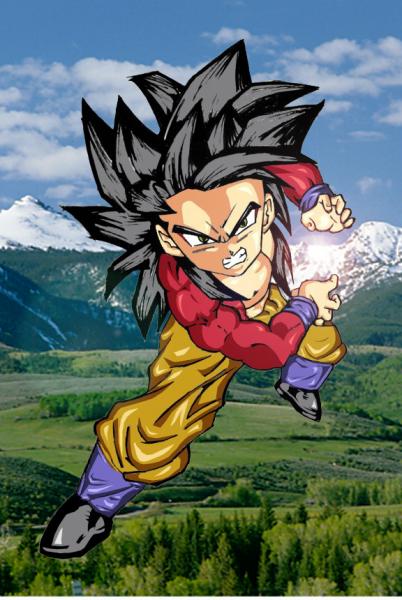 san goku petit