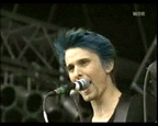 matt